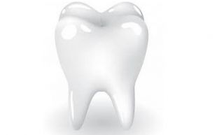 Is the same type of filling used for both children and adults?